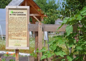 A garden at Abbey Gardens with a sign