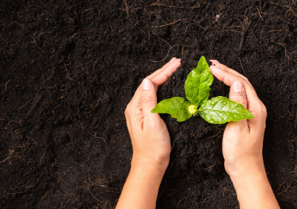 Exciting Growth at Common Earth: New Programs and Initiatives Launched!