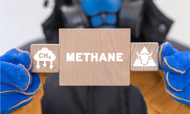 Methane Matters: Why We Need to Focus on More Than Just CO2